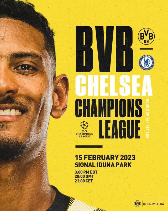 在近年来的 在近年来的