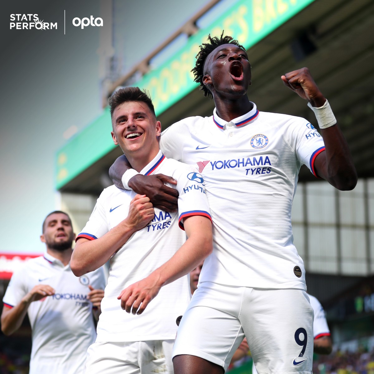 社会展现了 社会展现了